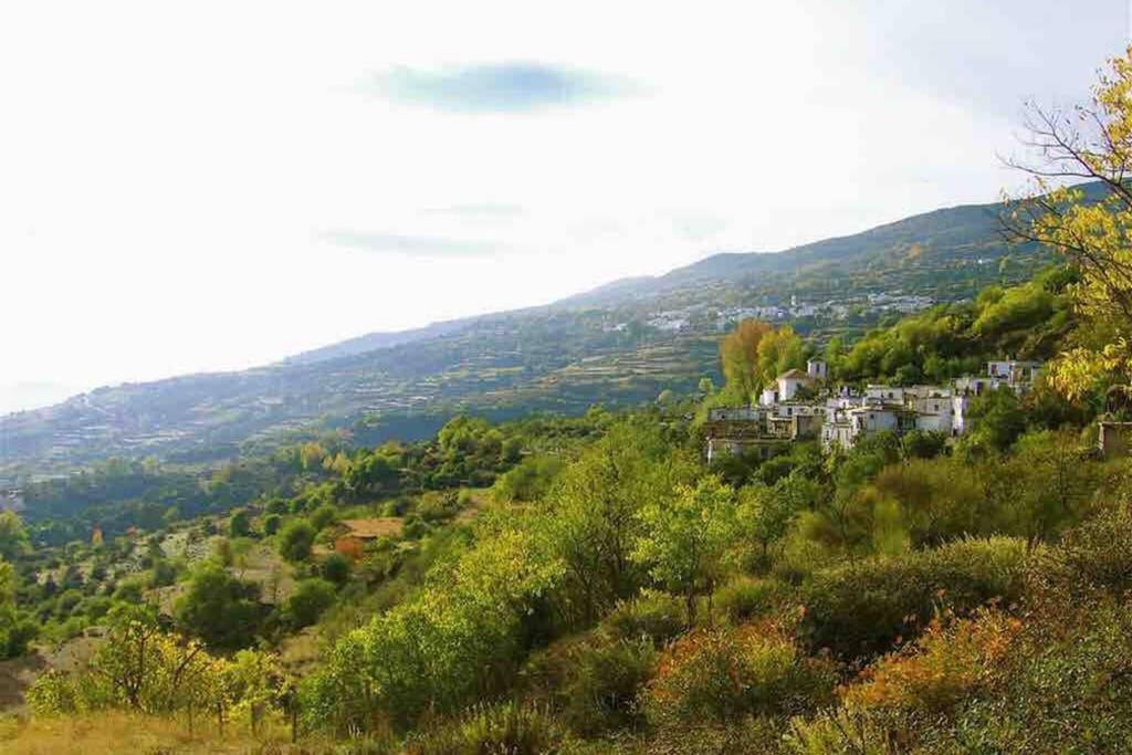 Casa Carmela, Rural House With Spectacular Views, In An Exquisite Area Villa Atalbeitar Ngoại thất bức ảnh