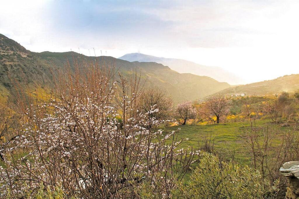Casa Carmela, Rural House With Spectacular Views, In An Exquisite Area Villa Atalbeitar Ngoại thất bức ảnh