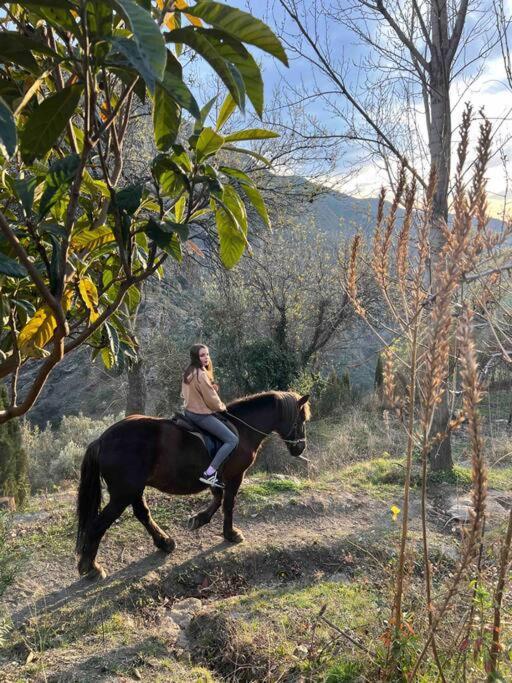 Casa Carmela, Rural House With Spectacular Views, In An Exquisite Area Villa Atalbeitar Ngoại thất bức ảnh